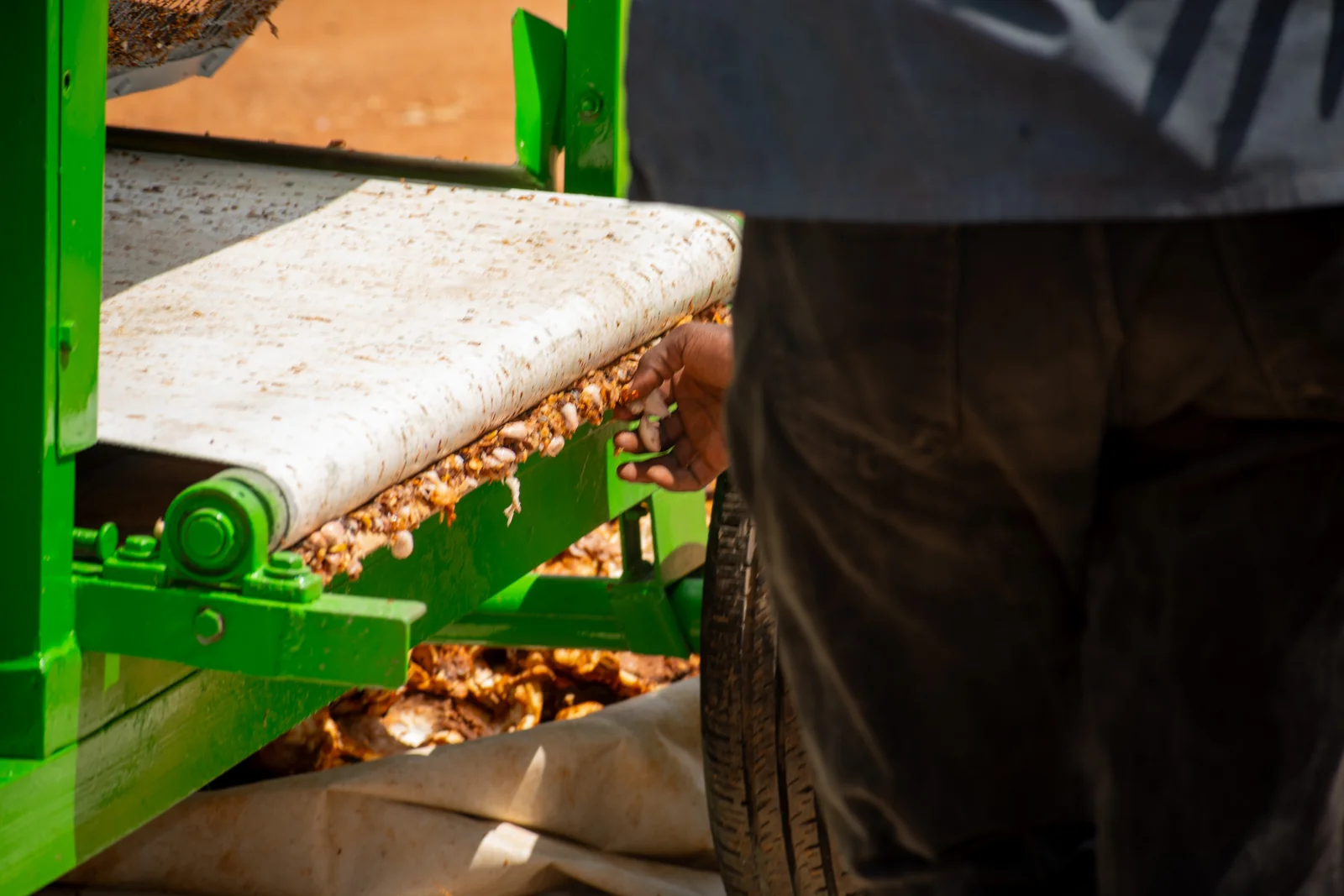 Cocoa Pod Breaking Machine