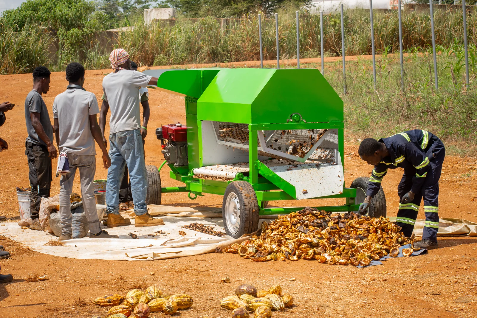Cocoa Pod Breaking Machine view
