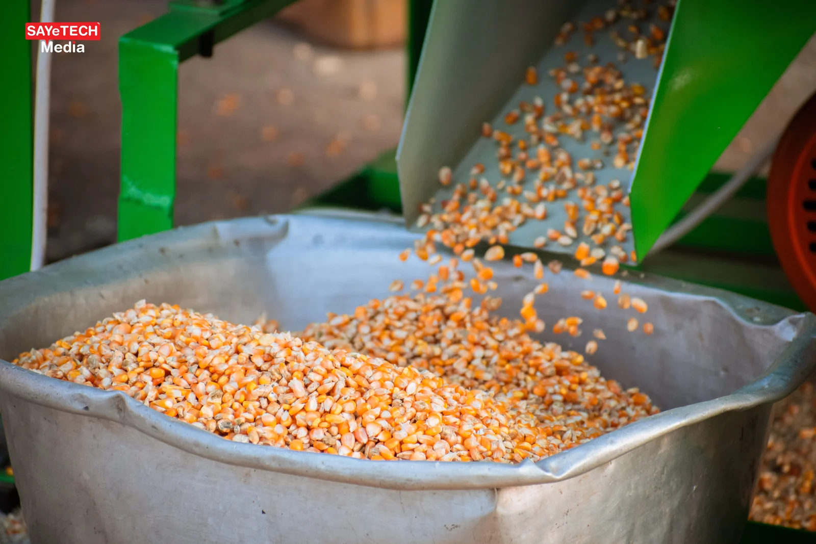 Multi-Grain Cleaner view