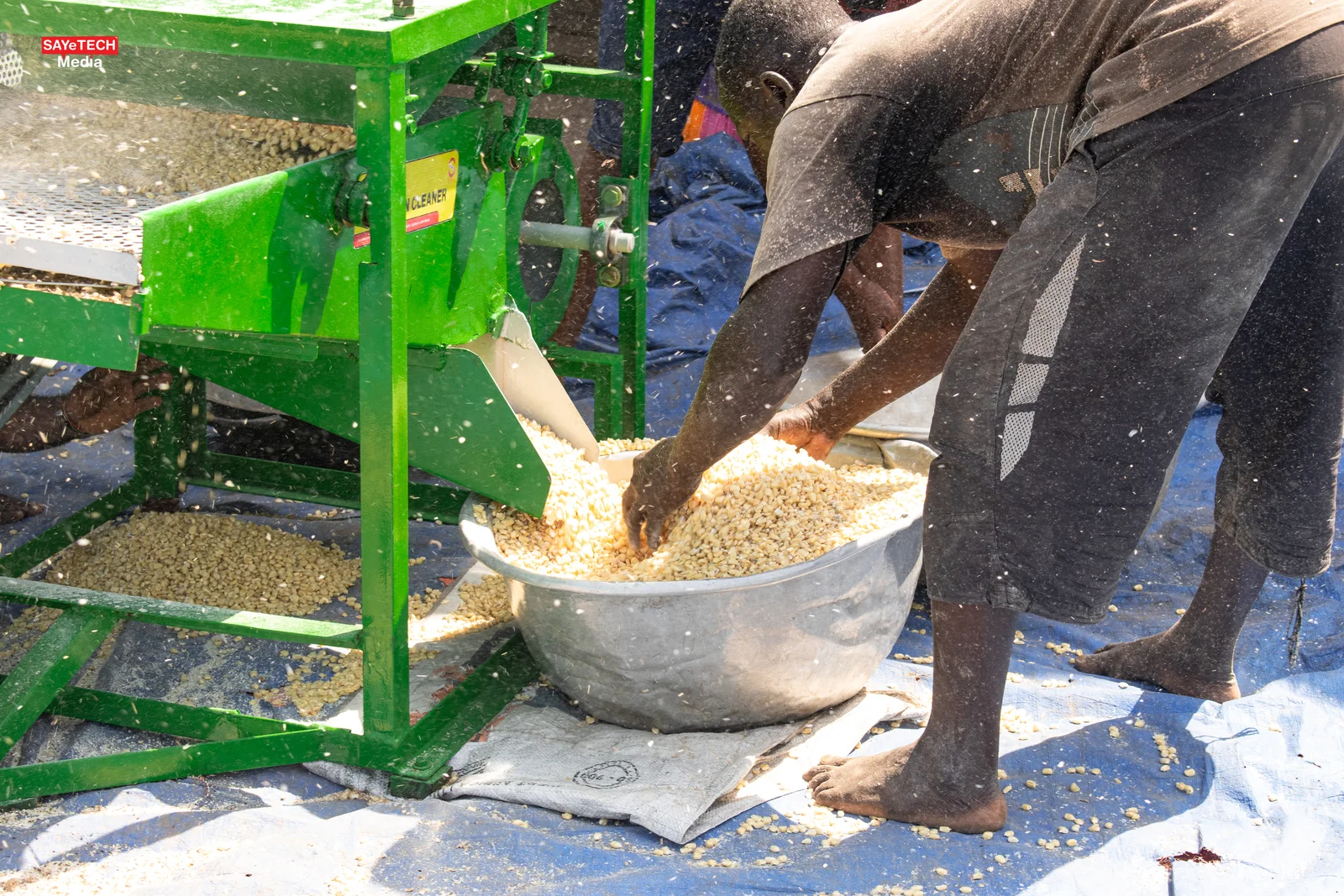 Multi-Grain Cleaner view