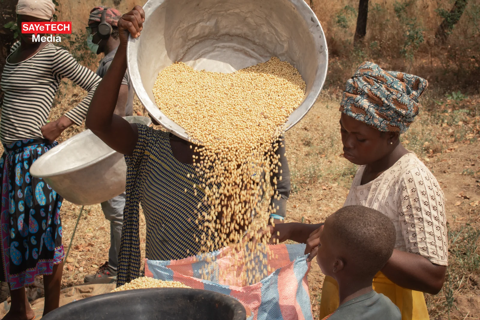 Multi-Crop Thresher view